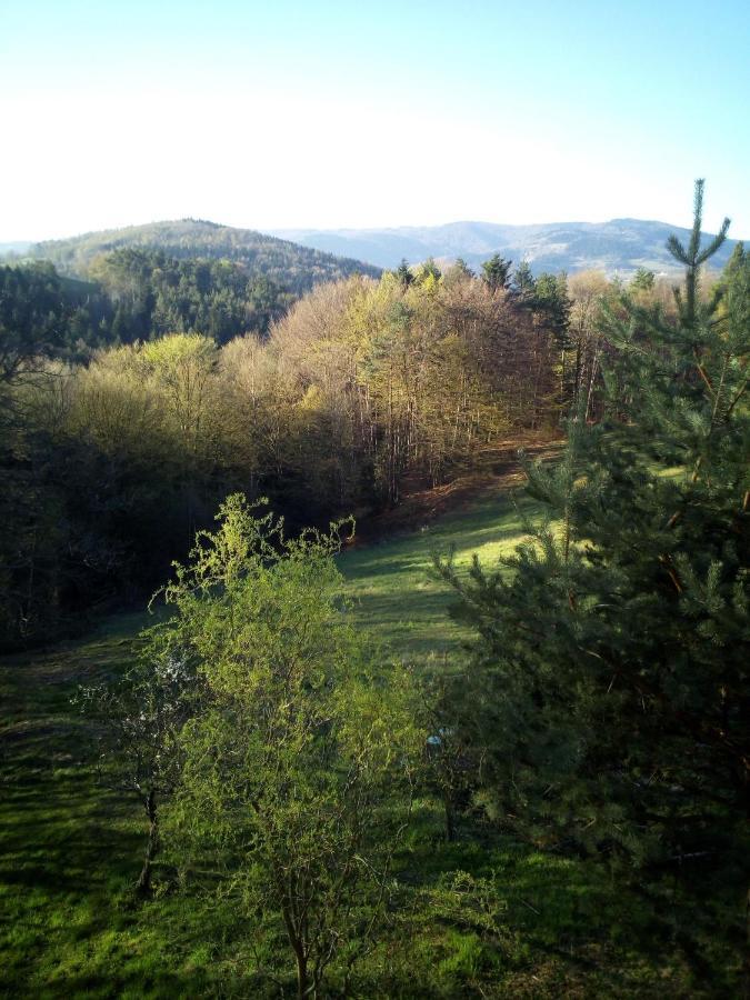 Agroturystyka Millerówka Kamionka Mala  Exterior foto