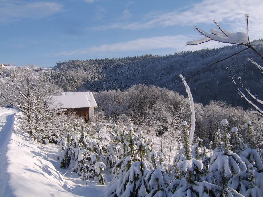 Agroturystyka Millerówka Kamionka Mala  Exterior foto