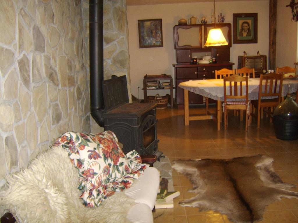 Agroturystyka Millerówka Kamionka Mala  Exterior foto