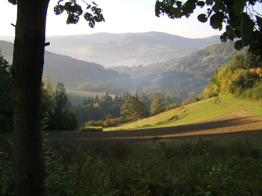 Agroturystyka Millerówka Kamionka Mala  Exterior foto