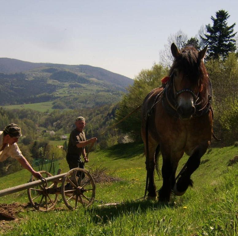 Agroturystyka Millerówka Kamionka Mala  Exterior foto