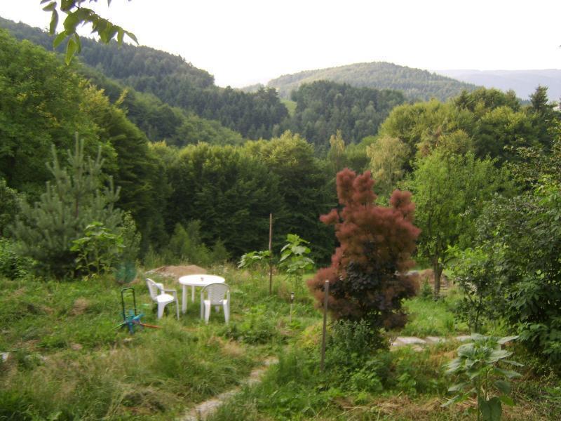Agroturystyka Millerówka Kamionka Mala  Exterior foto
